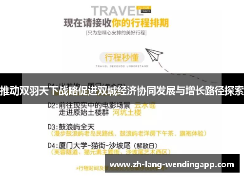 推动双羽天下战略促进双城经济协同发展与增长路径探索 推动双羽天下战略促进双城经济协同发展与增长路径探索