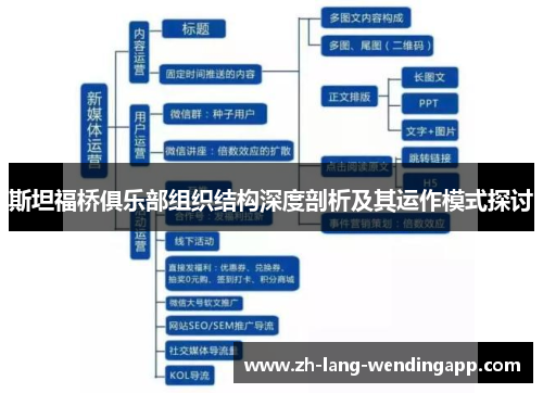 斯坦福桥俱乐部组织结构深度剖析及其运作模式探讨 斯坦福桥俱乐部组织结构深度剖析及其运作模式探讨