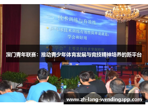 澳门青年联赛:推动青少年体育发展与竞技精神培养的新平台