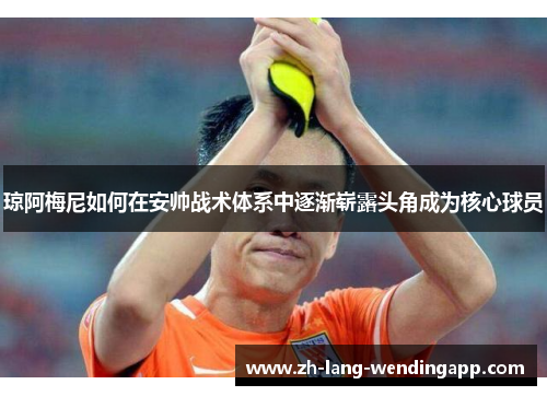 琼阿梅尼如何在安帅战术体系中逐渐崭露头角成为核心球员