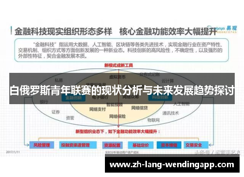 白俄罗斯青年联赛的现状分析与未来发展趋势探讨