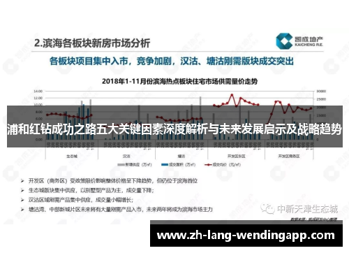 浦和红钻成功之路五大关键因素深度解析与未来发展启示及战略趋势