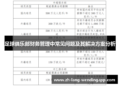 足球俱乐部财务管理中常见问题及其解决方案分析