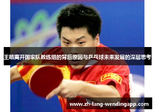 王皓离开国家队教练组的背后原因与乒乓球未来发展的深层思考