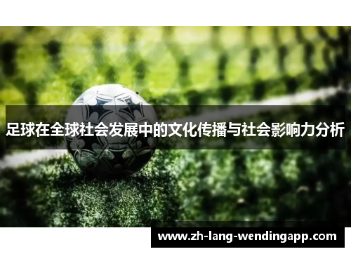 足球在全球社会发展中的文化传播与社会影响力分析