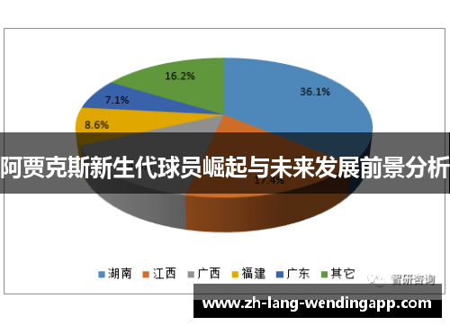 阿贾克斯新生代球员崛起与未来发展前景分析