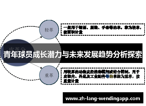青年球员成长潜力与未来发展趋势分析探索