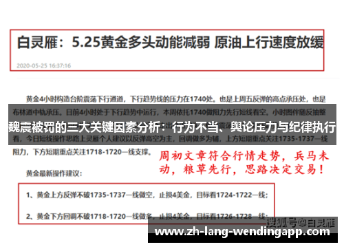 魏震被罚的三大关键因素分析：行为不当、舆论压力与纪律执行